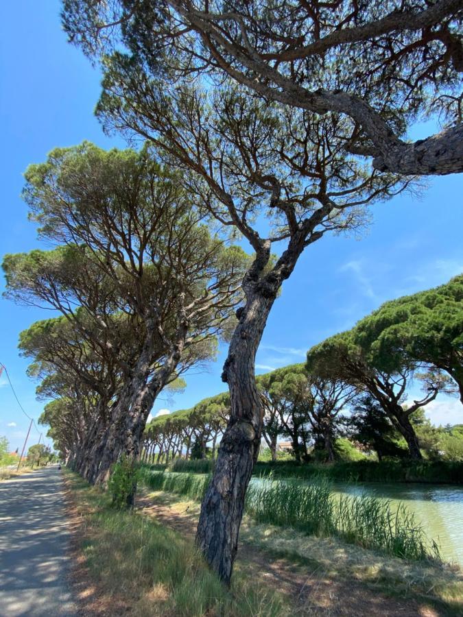 Le Relais D'Affiac Bed and Breakfast Peyriac-Minervois Εξωτερικό φωτογραφία