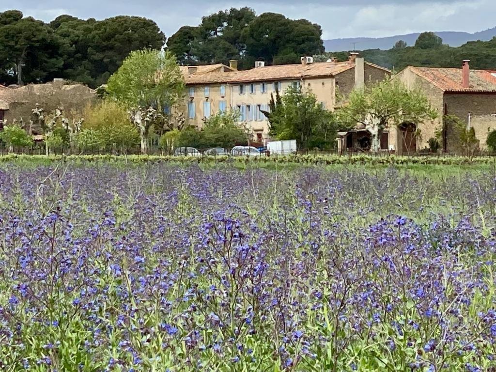 Le Relais D'Affiac Bed and Breakfast Peyriac-Minervois Εξωτερικό φωτογραφία