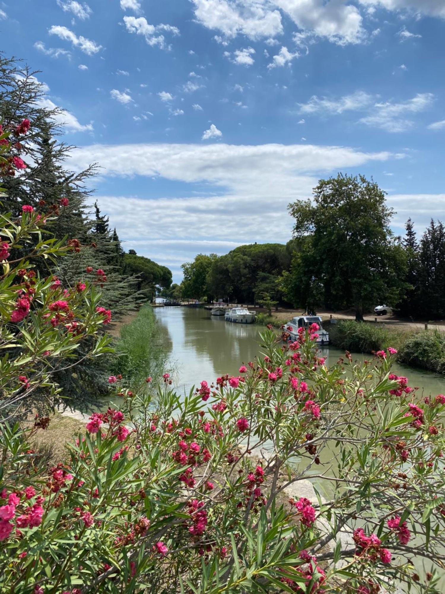Le Relais D'Affiac Bed and Breakfast Peyriac-Minervois Εξωτερικό φωτογραφία